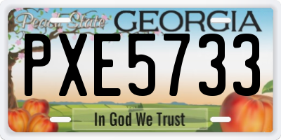 GA license plate PXE5733