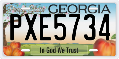 GA license plate PXE5734