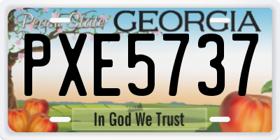 GA license plate PXE5737