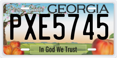 GA license plate PXE5745
