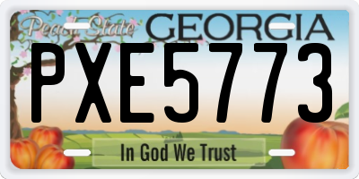 GA license plate PXE5773