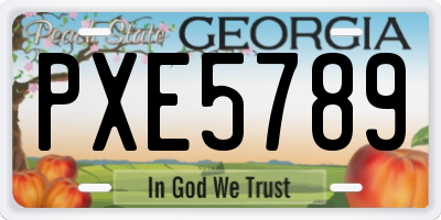 GA license plate PXE5789