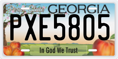 GA license plate PXE5805