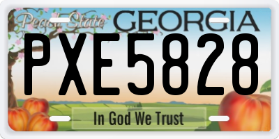 GA license plate PXE5828