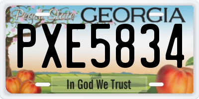 GA license plate PXE5834