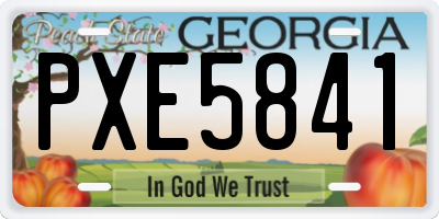 GA license plate PXE5841