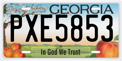GA license plate PXE5853