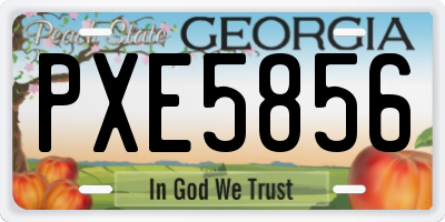 GA license plate PXE5856