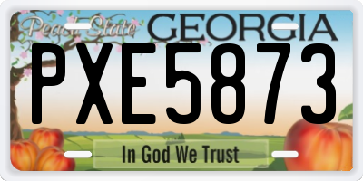 GA license plate PXE5873