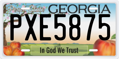 GA license plate PXE5875