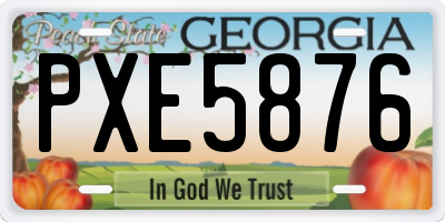 GA license plate PXE5876