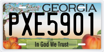GA license plate PXE5901