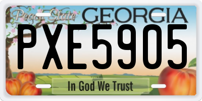 GA license plate PXE5905