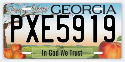 GA license plate PXE5919