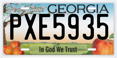 GA license plate PXE5935