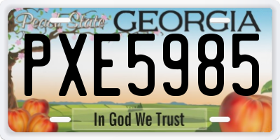 GA license plate PXE5985
