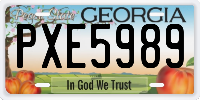 GA license plate PXE5989