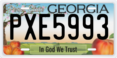 GA license plate PXE5993