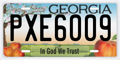 GA license plate PXE6009