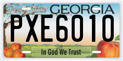 GA license plate PXE6010