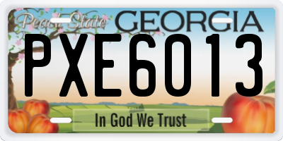 GA license plate PXE6013
