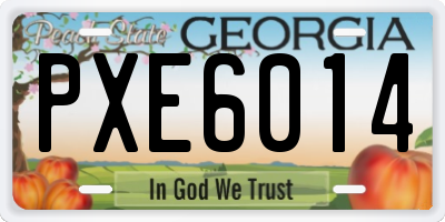 GA license plate PXE6014