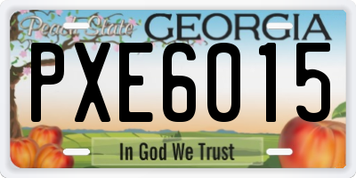 GA license plate PXE6015