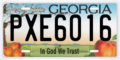 GA license plate PXE6016
