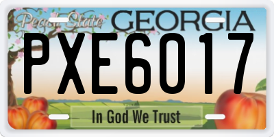 GA license plate PXE6017