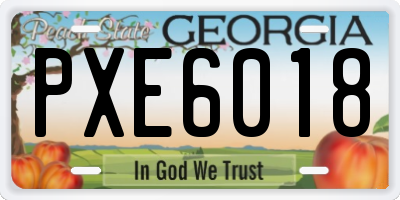 GA license plate PXE6018