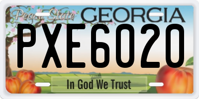 GA license plate PXE6020