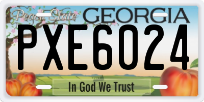 GA license plate PXE6024