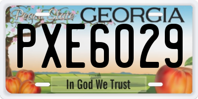 GA license plate PXE6029