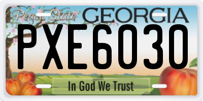 GA license plate PXE6030