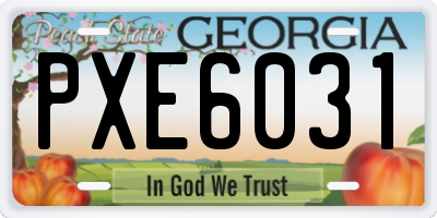GA license plate PXE6031