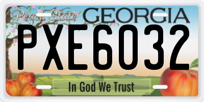 GA license plate PXE6032