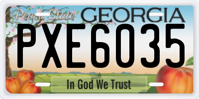GA license plate PXE6035