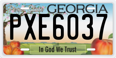 GA license plate PXE6037