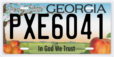 GA license plate PXE6041