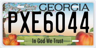 GA license plate PXE6044
