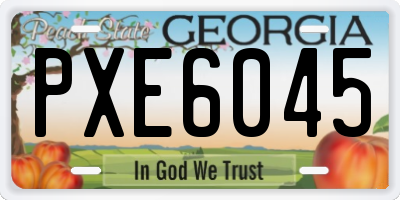 GA license plate PXE6045