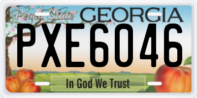 GA license plate PXE6046
