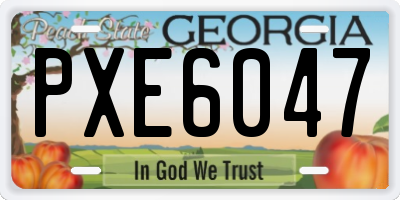 GA license plate PXE6047