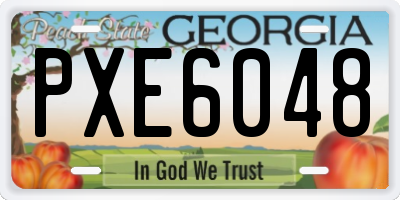 GA license plate PXE6048