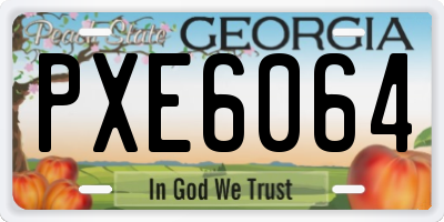 GA license plate PXE6064