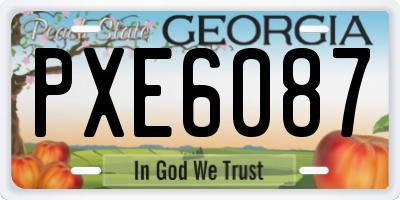 GA license plate PXE6087