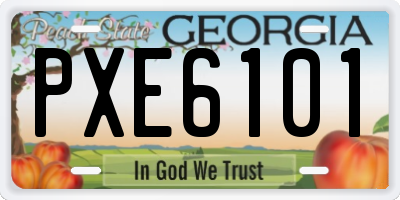 GA license plate PXE6101