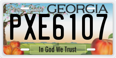 GA license plate PXE6107
