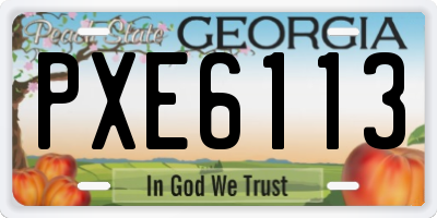 GA license plate PXE6113