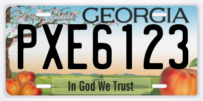 GA license plate PXE6123